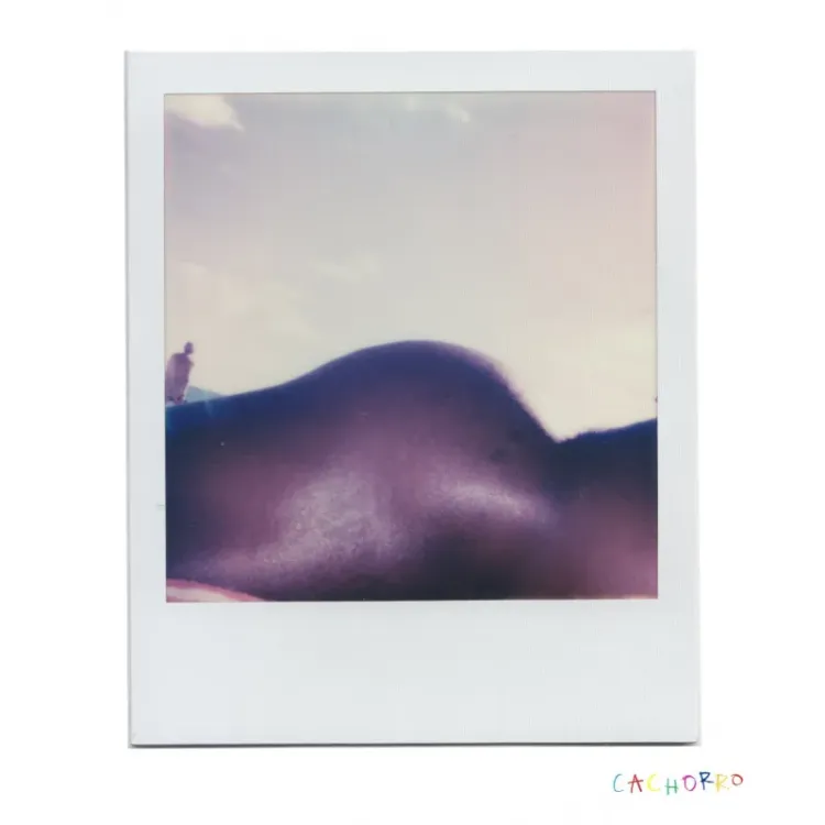 POLAROID - DEAN IN MIAMI 4