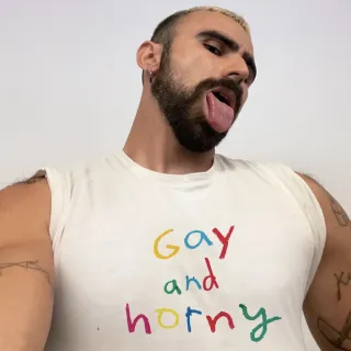 GAY AND HORNY CAMISETA